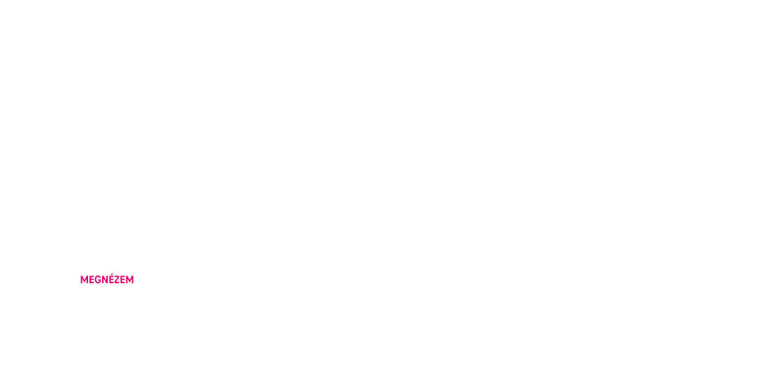 Próbáld ki otthoni szolgáltatásainkat 30 napig díjmentesen , akár Magenta 1-ben!